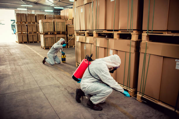 Best Flea Control Services  in Plandome, NY