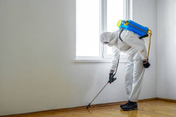 Best Pest Prevention Services  in Plandome, NY