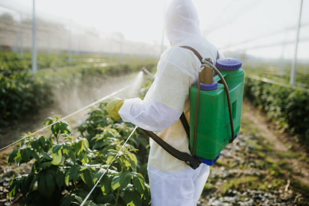 Insect Control in Plandome, NY